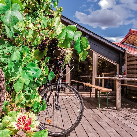 Semesterbostad Comfortable In With Garden *